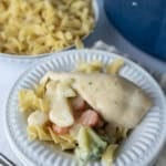 A white plate with cooked egg noodles topped with slow cooker creamy chicken, sliced carrots, broccoli, and cauliflower. In the background, a bowl of plain egg noodles and part of a blue pot are visible.