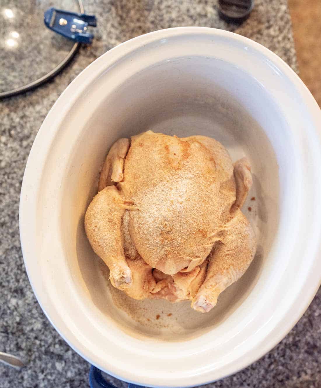 A whole raw chicken coated with seasoning sits in a white slow cooker on a gray countertop.