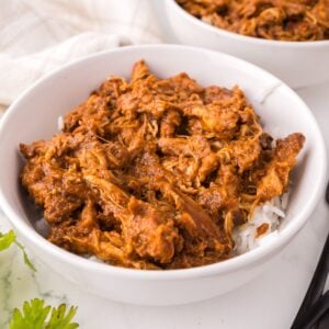 A white bowl filled with shredded chicken in a rich, reddish-brown sauce, inspired by a Thai chicken satay recipe, served over white rice. Another similar bowl and a sprig of parsley are visible nearby.