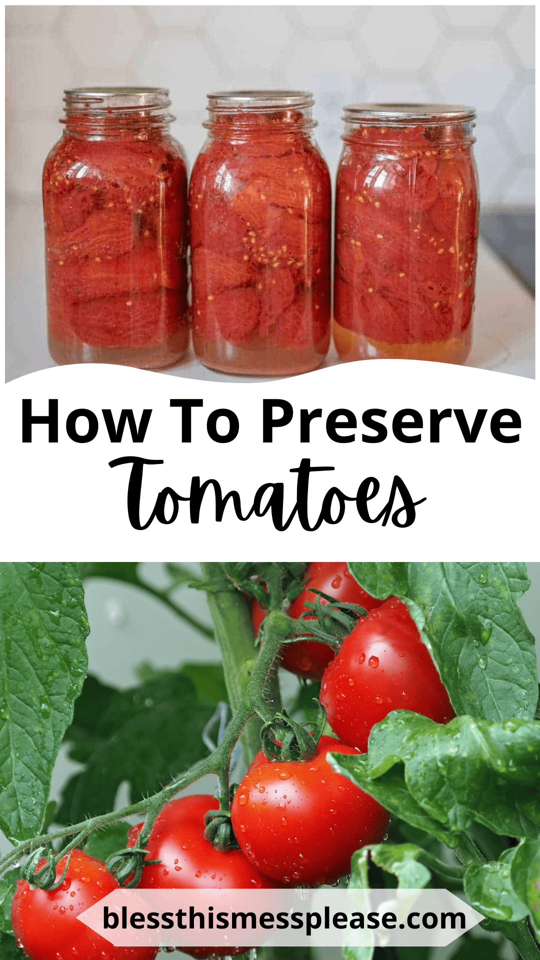Three jars filled with preserved tomatoes sit on a counter above ripe red tomatoes growing on the vine. Text reads, “How to Preserve Tomatoes.” Visit blessthismessplease.com to learn how to preserve tomatoes at home.