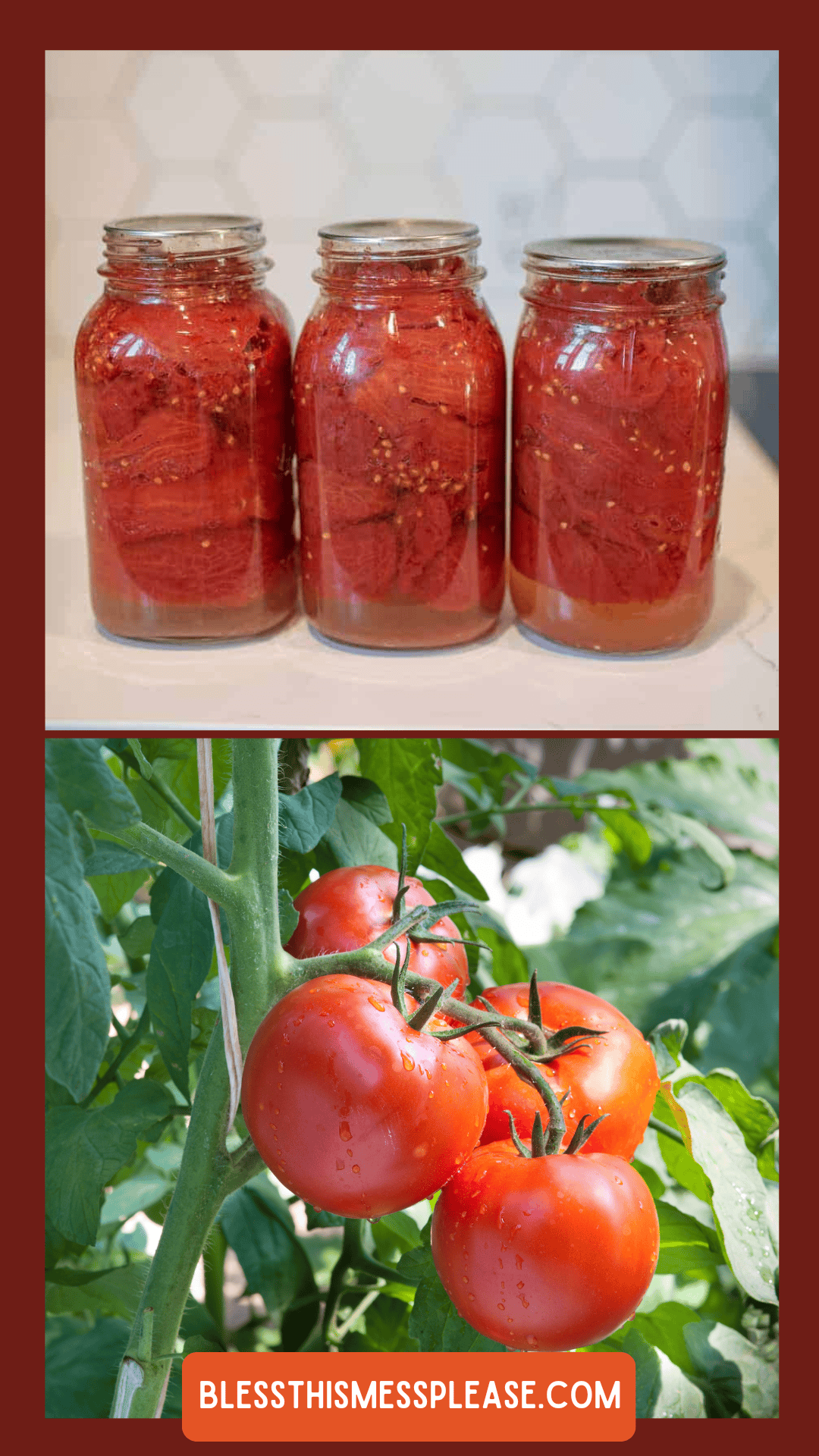 Three jars of preserved tomatoes sit on a counter above a photo of ripe tomatoes on the vine. A label at the bottom reads “blessthismessplease.com,” showcasing how to preserve tomatoes at home.