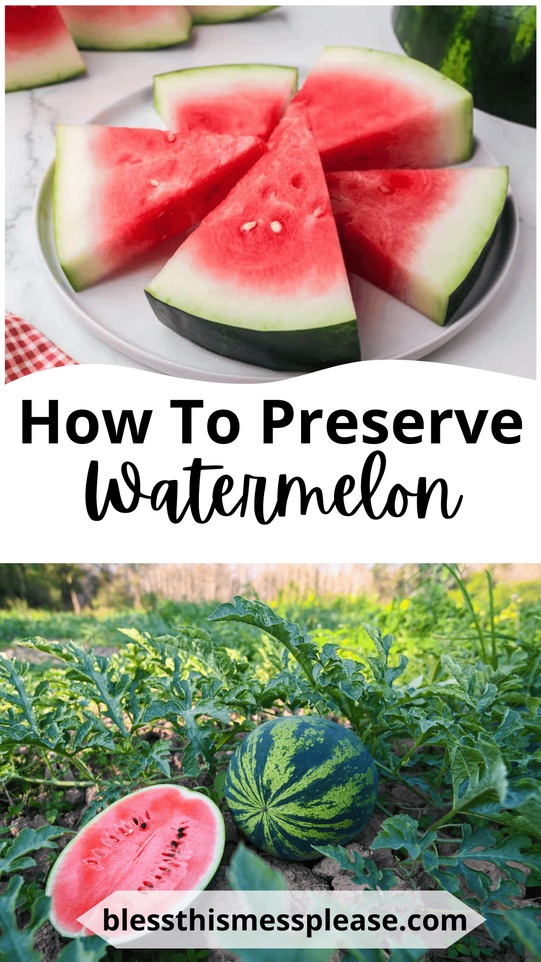 Sliced watermelon on a plate and whole and halved melons in a field, with text: How to Preserve Watermelon—tips from blessthismessplease.com on how to preserve watermelon for longer freshness.