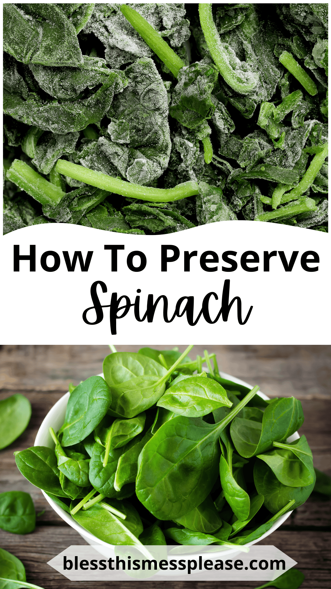 A split image featuring frozen spinach leaves above and fresh spinach in a white bowl below, illustrating how to preserve spinach with the text “How to Preserve Spinach” and “blessthismessplease.com” between the images.