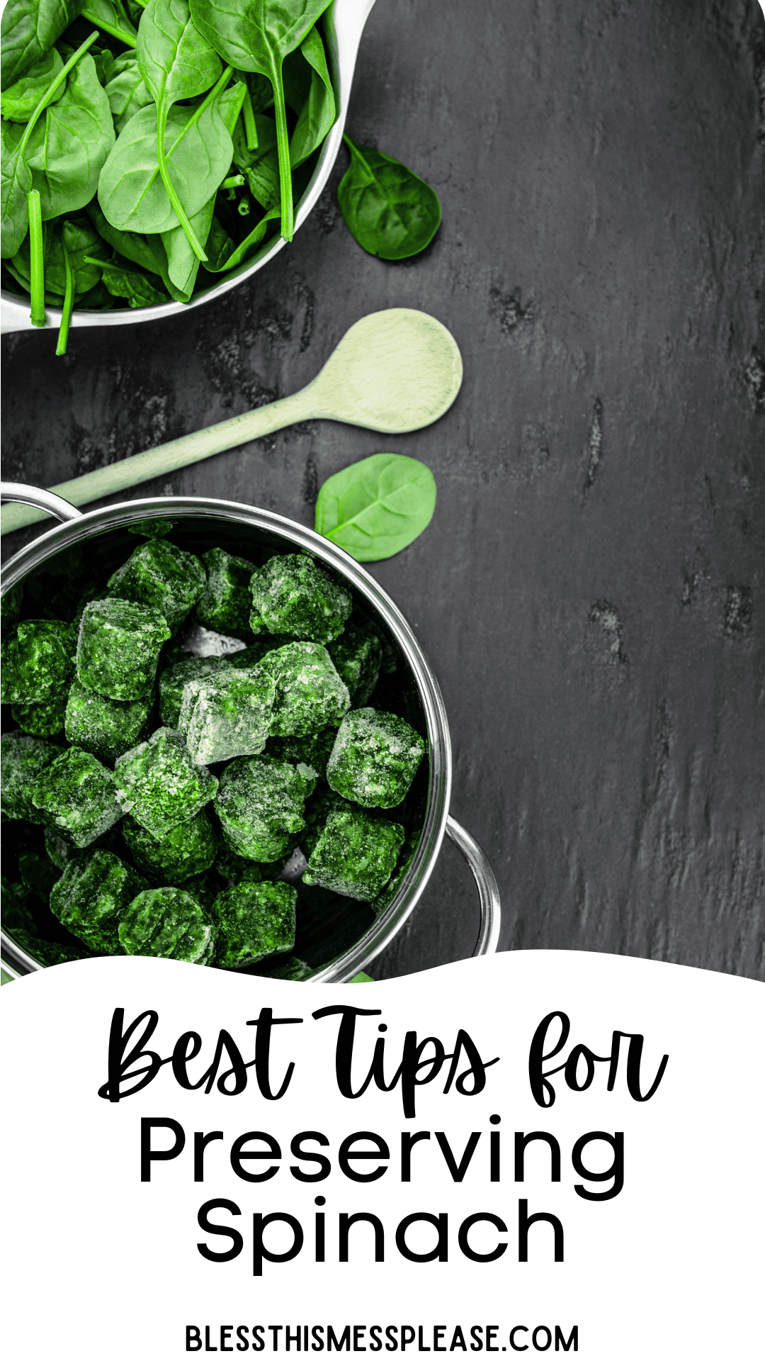Top-down view of fresh spinach leaves in a bowl and frozen spinach cubes in a pot on a dark surface, with a wooden spoon. Text reads: Best Tips for How to Preserve Spinach. BLESSTHISMESSPLEASE.COM.