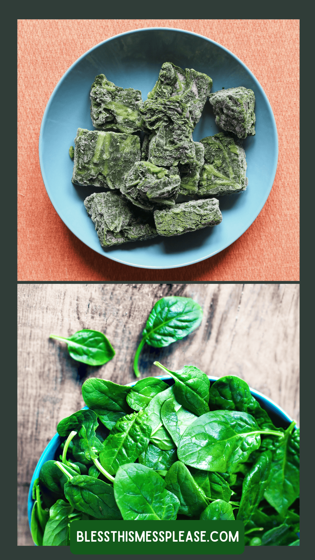 A blue bowl with frozen spinach cubes on an orange surface sits above a blue bowl filled with fresh spinach leaves on a wooden table, illustrating how to preserve spinach. Text reads “blessthismessplease.com.”.