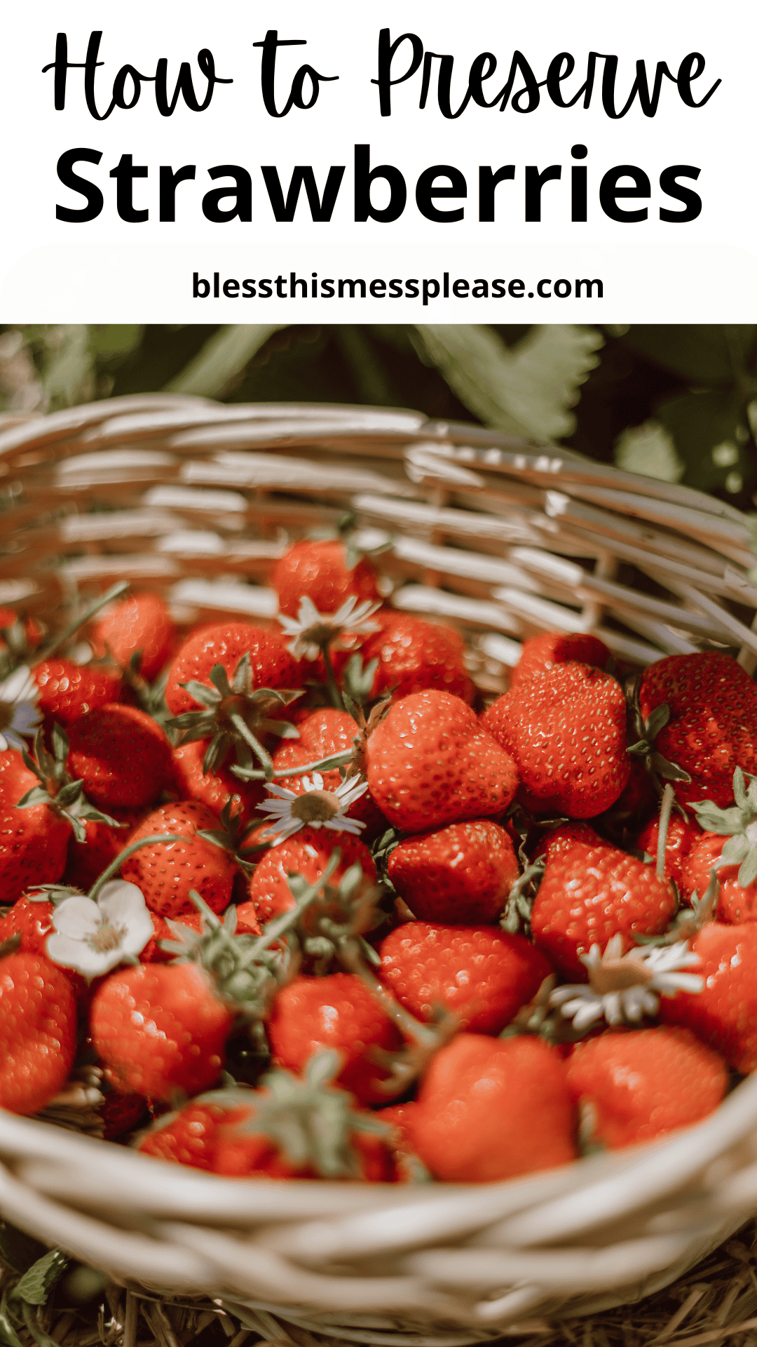 A wicker basket filled with fresh strawberries and a few white flowers, with the text how to preserve strawberries and blessthismessplease.com above the basket. Discover easy tips on how to preserve strawberries at their freshest!.