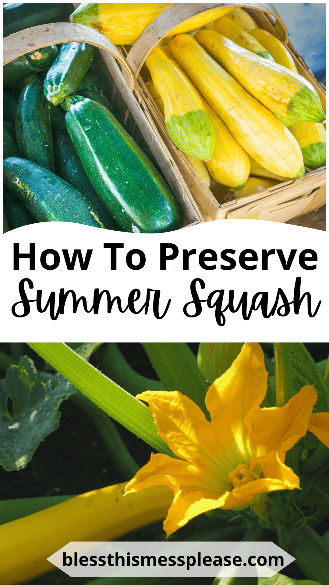 A basket of yellow summer squash and green zucchini, text reading how to preserve summer squash, and a close-up of a yellow squash with a large yellow flower. Learn tips for how to preserve summer squash at blessthismessplease.com.