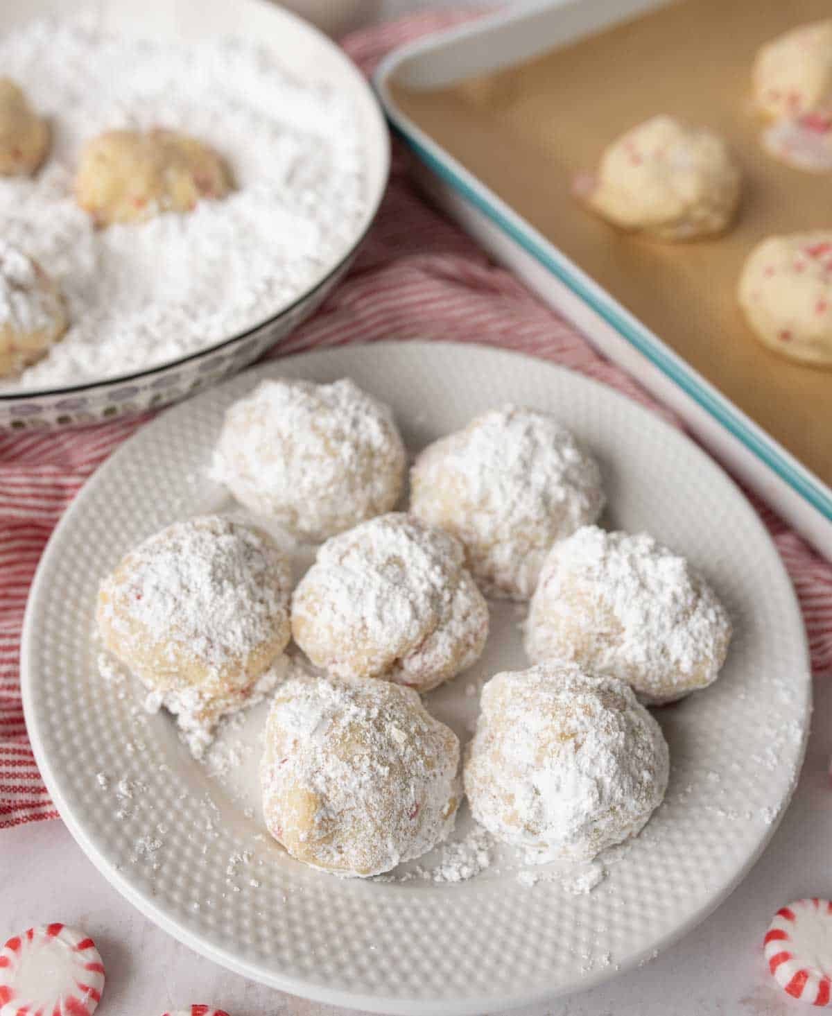 A white plate holds seven round peppermint snowball cookies covered in powdered sugar. In the background, a bowl of powdered sugar with more cookies and a baking sheet with uncoated cookies on parchment are visible, all on a red-striped cloth.