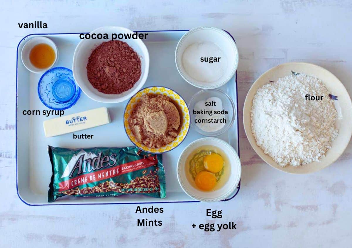 A tray with labeled baking ingredients: vanilla, cocoa powder, sugar, corn syrup, butter, brown sugar, Andes Mints, eggs, and a bowl with salt, baking soda, cornstarch. Flour is in a separate bowl to the side.