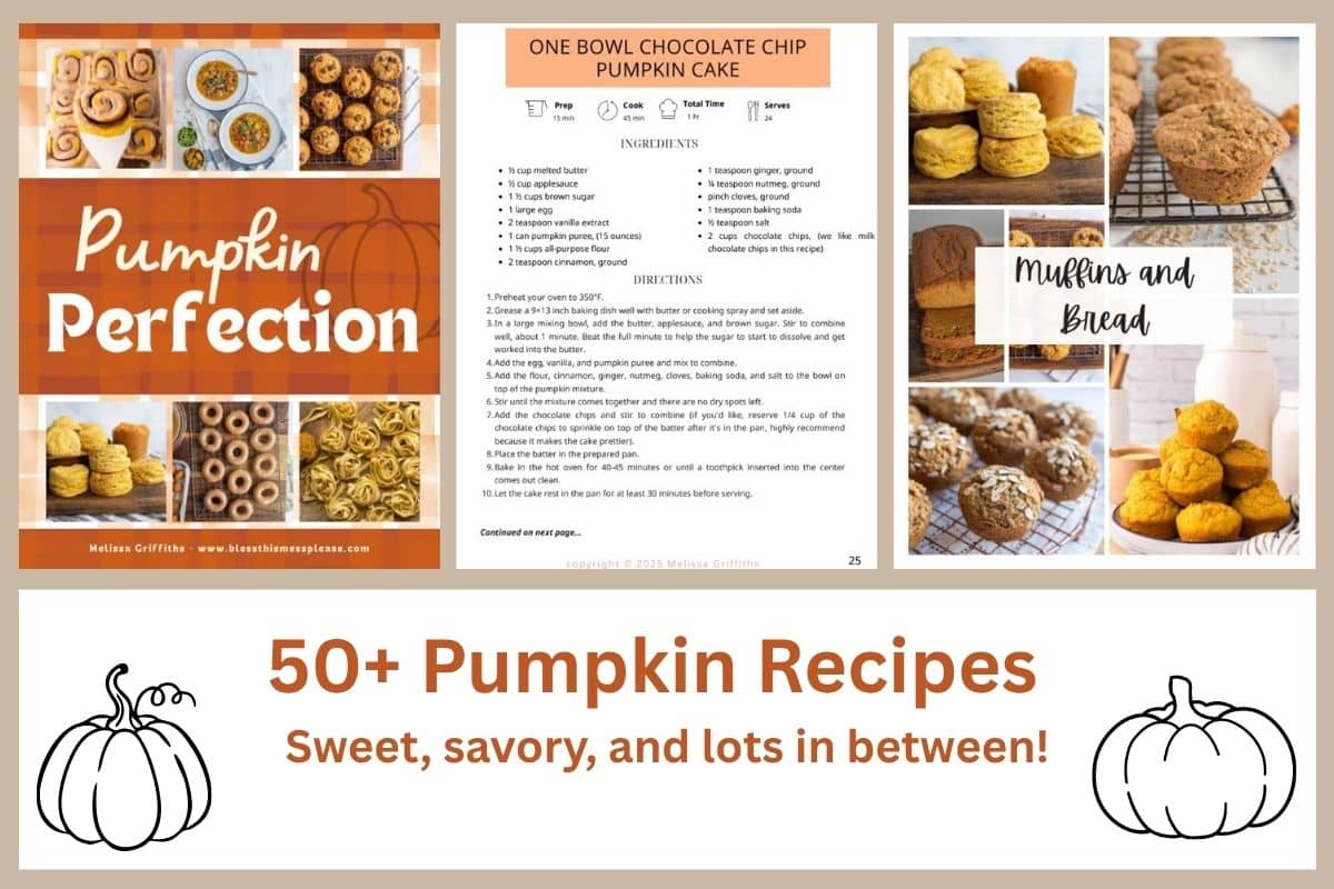 A collage featuring pumpkin baked goods, a pumpkin recipe book cover, a recipe page, and text reading 50+ Pumpkin Recipes: Sweet, savory, and lots in between! with pumpkin illustrations.