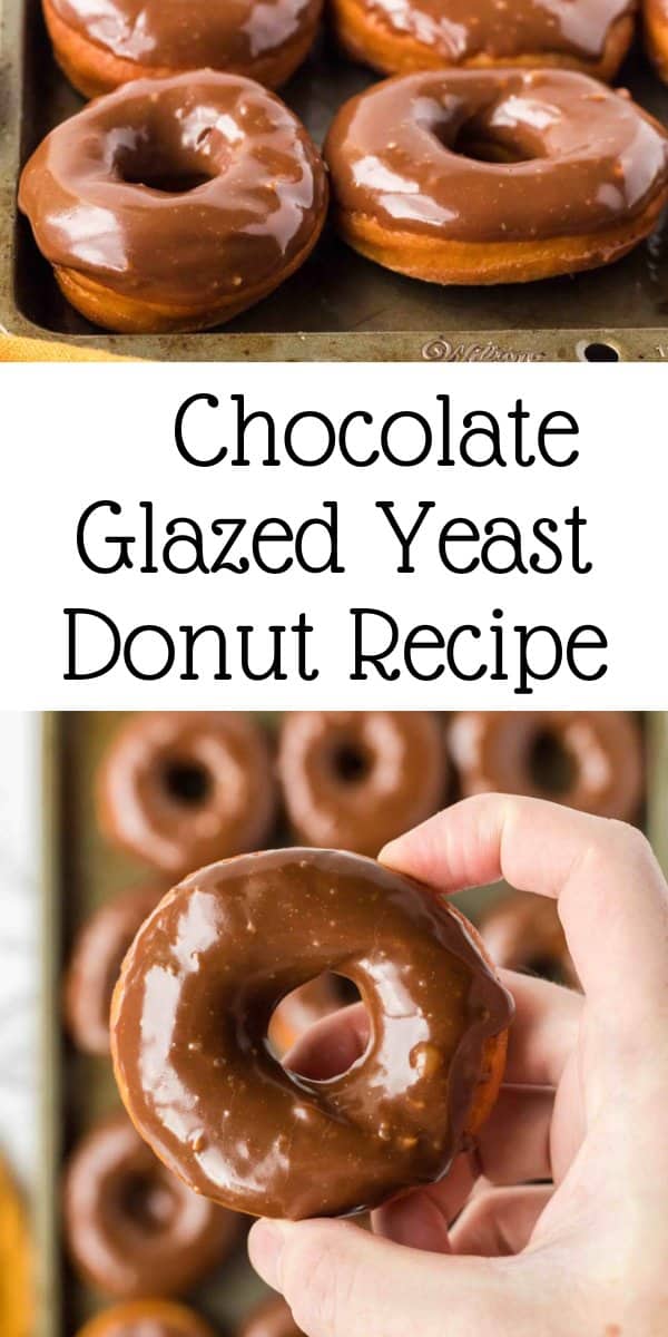 A tray of shiny chocolate glazed yeast donuts, with one donut held up close by a hand. Text in the center reads, Chocolate Glazed Yeast Donut Recipe.