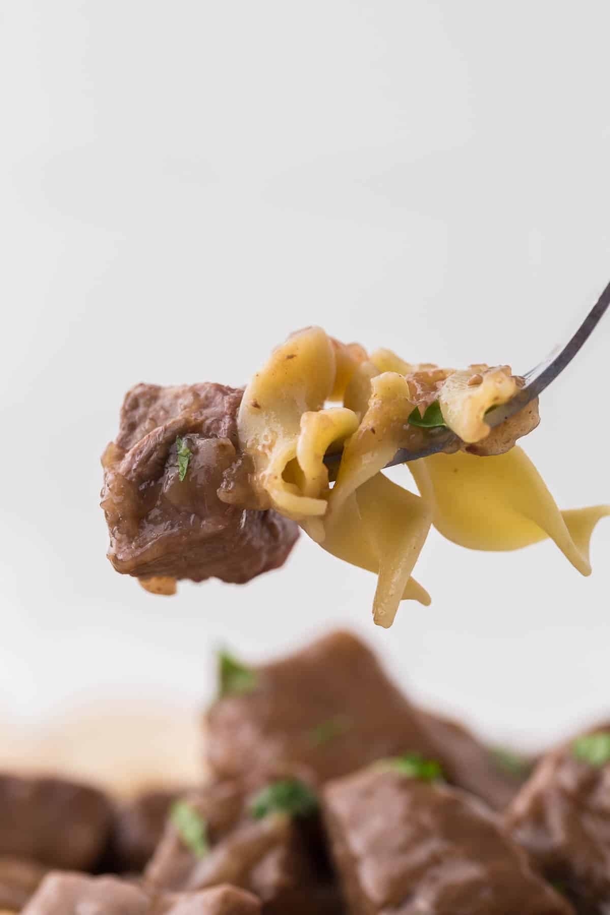 A close-up of a fork holding a bite of beef stew with egg noodles, garnished with chopped herbs. The background is blurred, highlighting the tender beef and noodles.