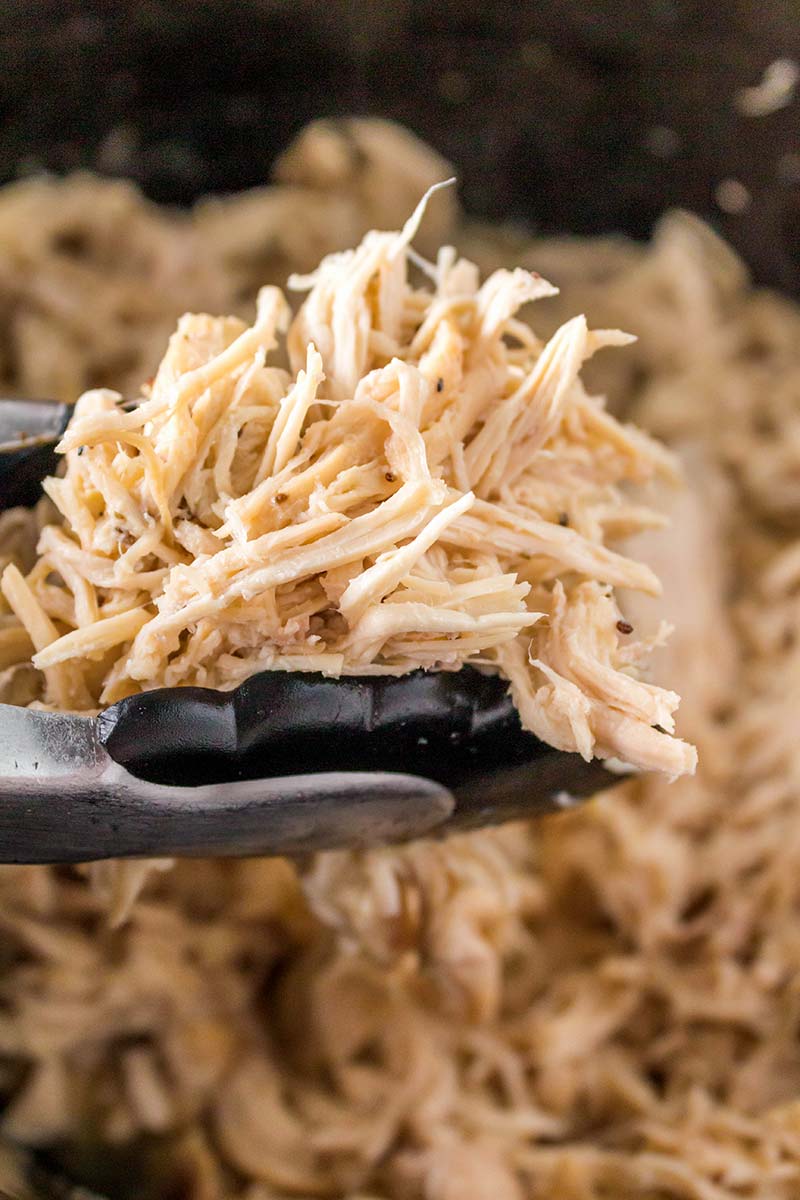 A close-up of black tongs holding shredded cooked chicken, with more shredded chicken visible in the background.