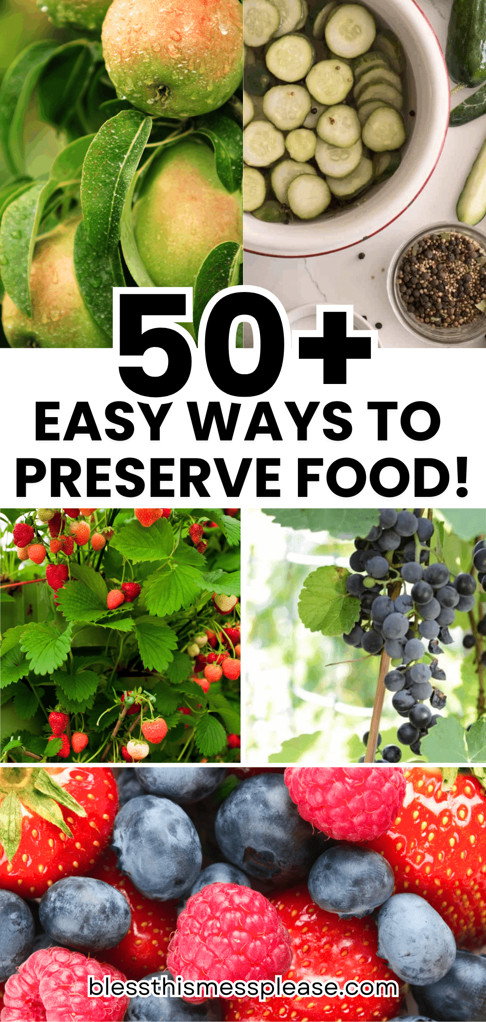 Collage of apples, sliced cucumbers, strawberries, grapes, blueberries, and raspberries with the text 50+ Easy Ways to Preserve Food! in bold across the center.